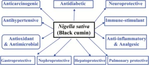 Beneficios del aceite de comino negro -Nigella sativa